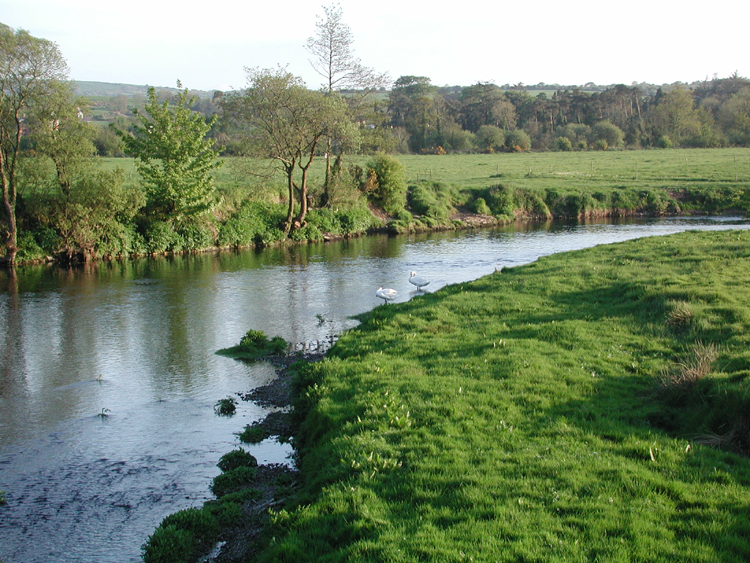 Bandon River 9.jpg 476.9K